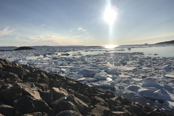 Sunny Arctic landscape with ice floes and rocks.